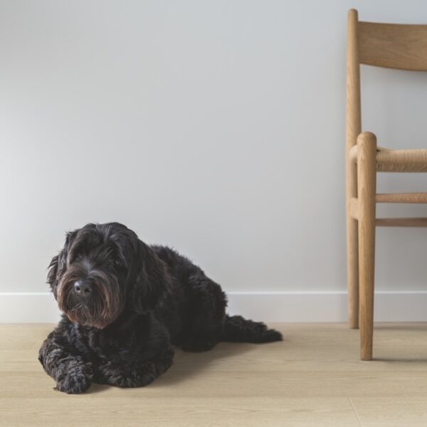 L0239-04291-3 Panele Laminowane Pergo Arendal pro Dąb Skandynawski Piaskowy L0239-04291