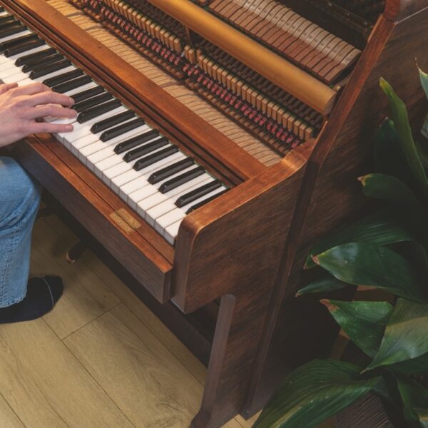 CLM5792-3 Panele Laminowane Quick-Step Classic Dąb miodowy brązowy CLM5792